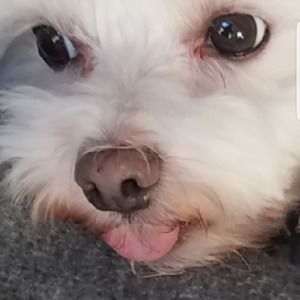 Meet your Posher, Grant